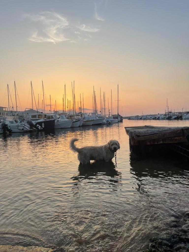 Bilocale House Gaudio 23 - A 1 Minuto Dall'ariston - Wifi Apartment Sanremo